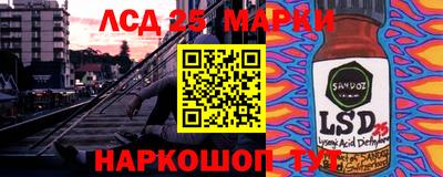 a pvp Гатчина