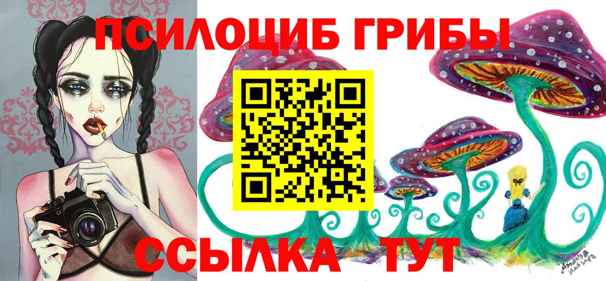 Псилоцибиновые грибы мицелий Семёнов